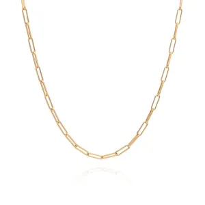 Elongated Box Chain Necklace in Gold