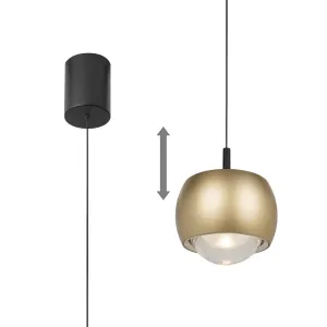 Mantra M8541 Roller Rise And Fall LED Pendant Gold/Black