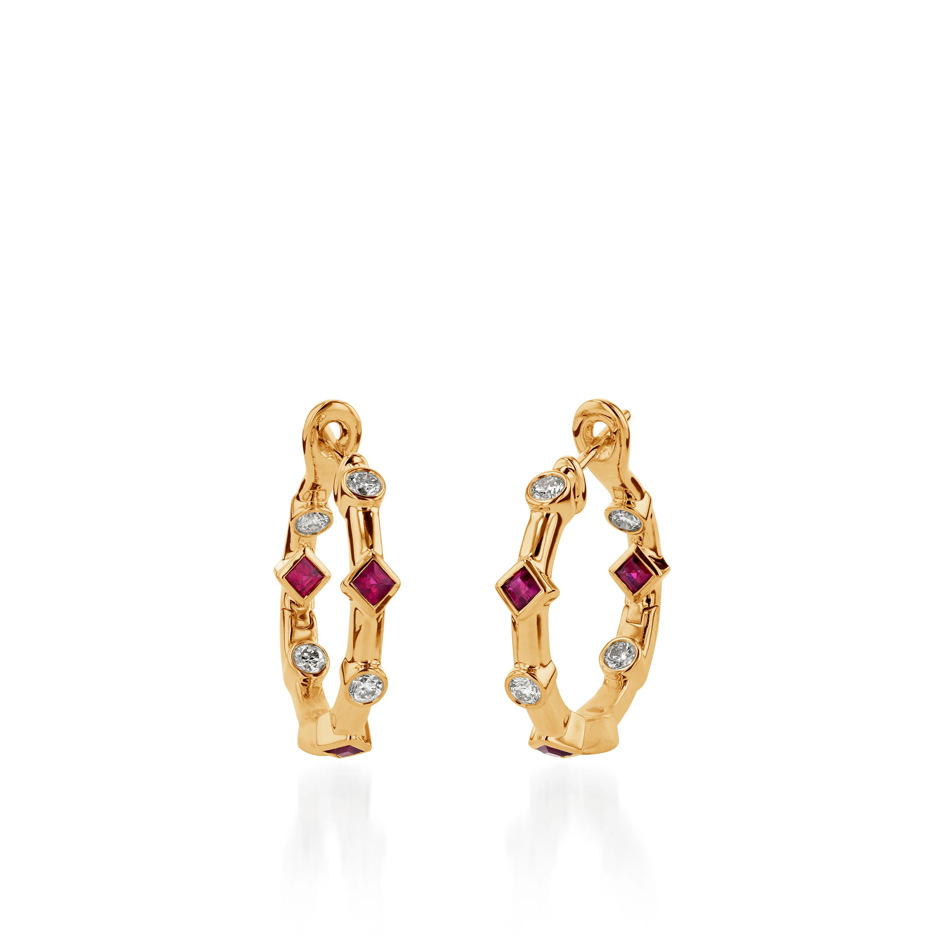 Paloma  Precious Hoop Earrings